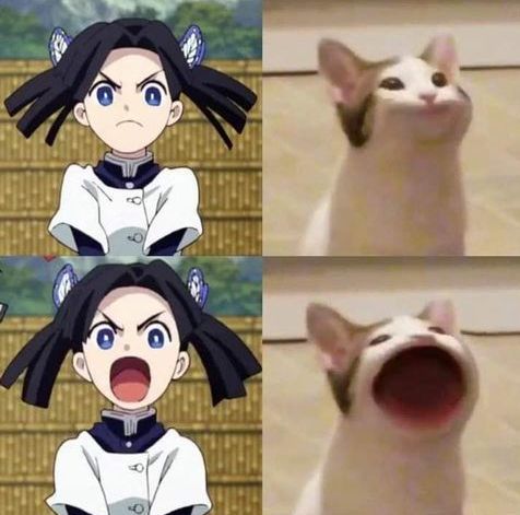 meme anime y gato